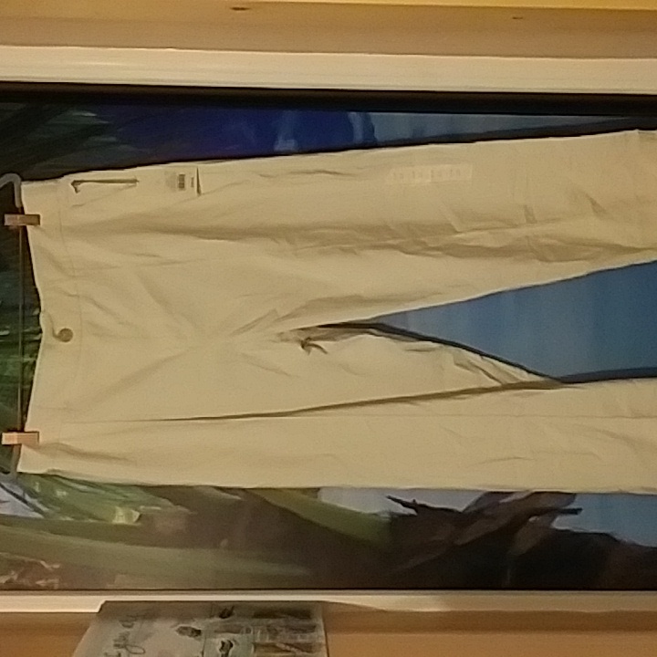 Universal Thread Pant